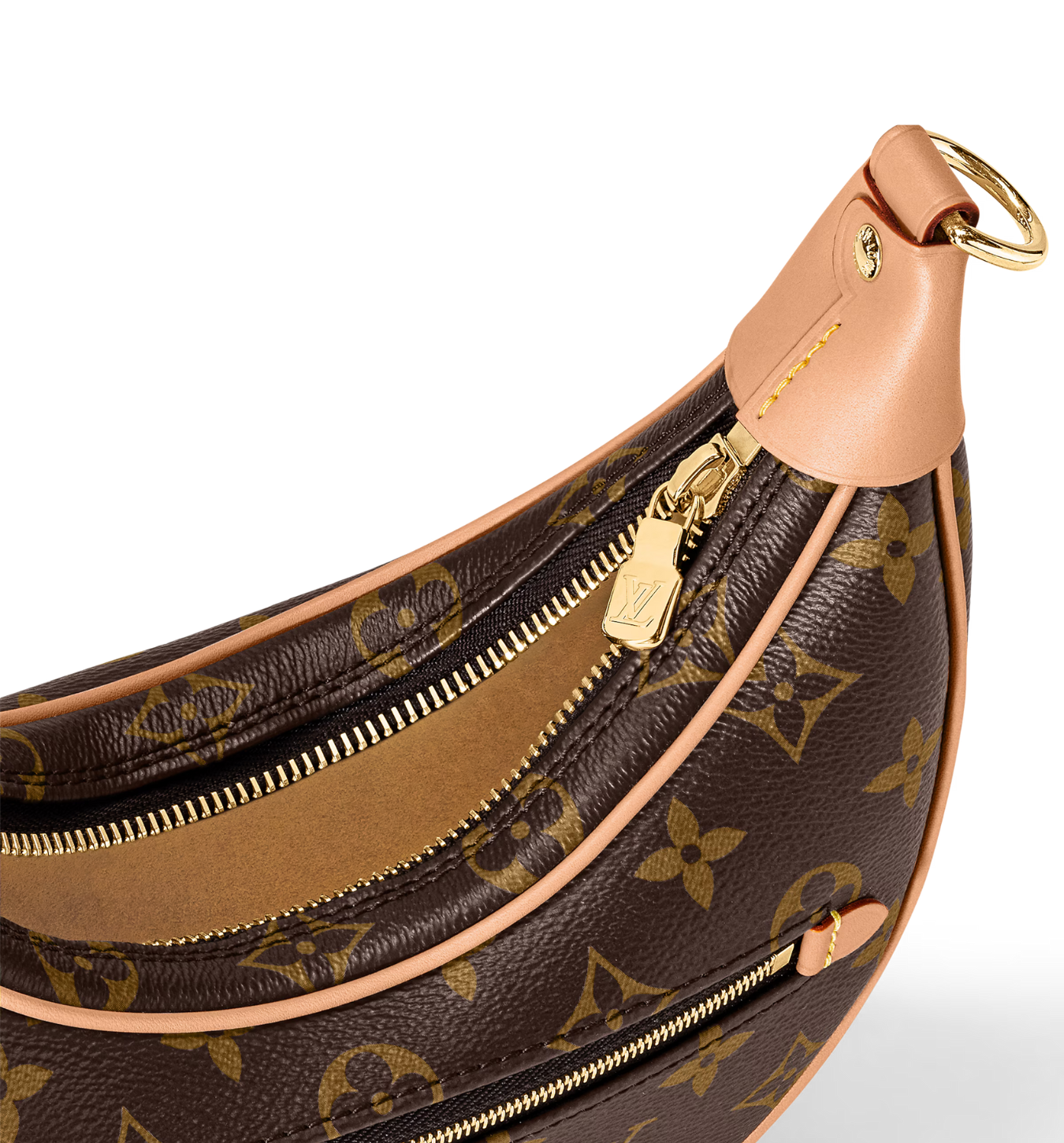 Loop LV Bag