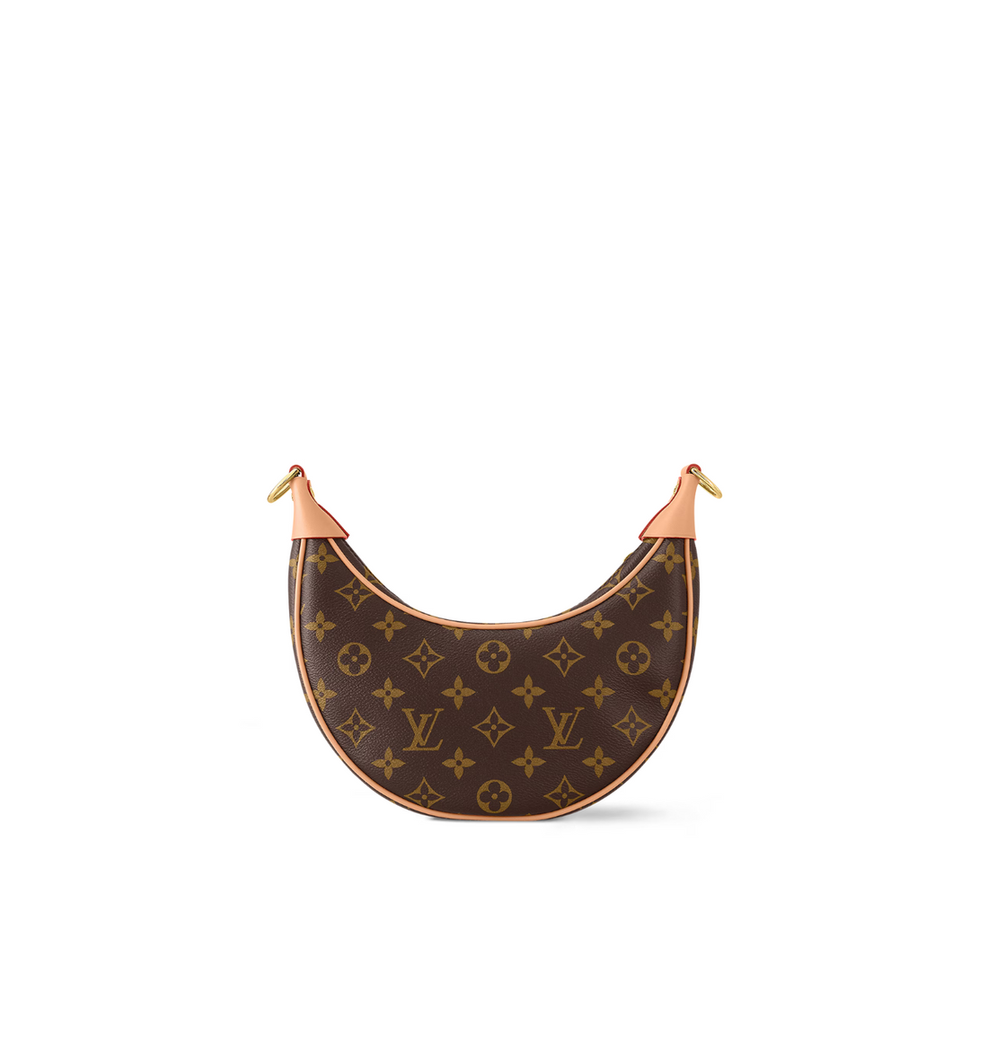 Loop LV Bag