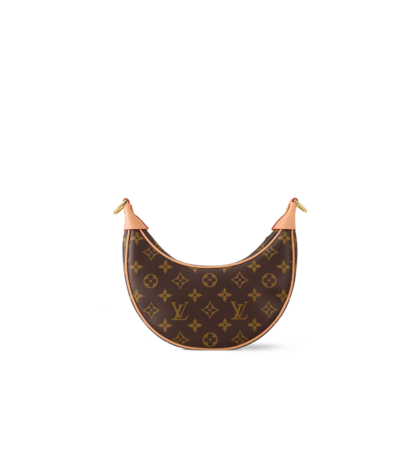 Loop LV Bag