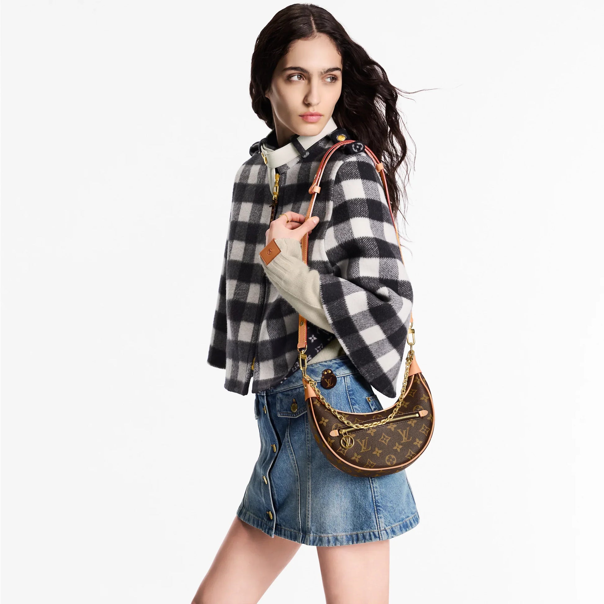 Loop LV Bag